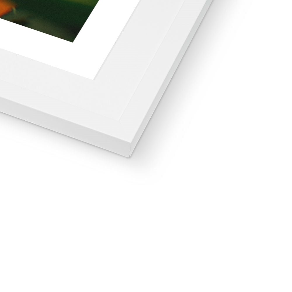 Siesta Framed & Mounted Print - Ego Rodriguez Shop